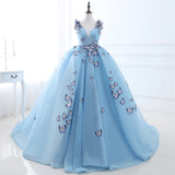 Cute Ball Gown V-Neck Sleeveless Appliques Tulle Court Train Prom Dresses WH26406