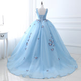 Cute Ball Gown V-Neck Sleeveless Appliques Tulle Court Train Prom Dresses WH26406