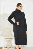 Elegant Plus Size Long Sleeve High Neck Casual Dress Unqiue Prom Dress FP8006