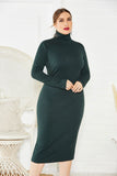 Elegant Plus Size Long Sleeve High Neck Casual Dress Unqiue Prom Dress FP8006