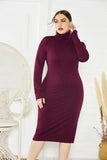 Elegant Plus Size Long Sleeve High Neck Casual Dress Unqiue Prom Dress FP8006