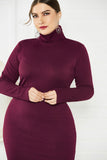 Elegant Plus Size Long Sleeve High Neck Casual Dress Unqiue Prom Dress FP8006