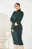 Elegant Plus Size Long Sleeve High Neck Casual Dress Unqiue Prom Dress FP8006