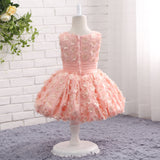 Ball Gown Round Neck Sleeveless Appliques Tulle Flower Girl Dress WH17818