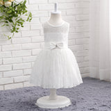 A Line Round Neck Sleeveless Lace Flower Girl Dress WH14807