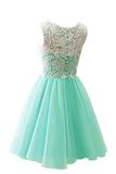 Flower Girl Adult Lace Short Prom Dress Ball Gown