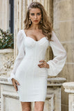 Elegant White Long Mesh Sleeve Sweetherat Tight Homecoming Dresses