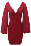 Burgundy V-Neck Long Sleeves Sheath Homecoming Dresses