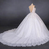 Princess Ball Gown Sheer Neck White Wedding Dress Lace Appliqued Bridal Dress W1146