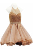 Cute Halter Short Beading Tulle Mini Homecoming Dress PM96